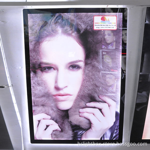 Opal Acrylic Advertising Photographic LED Light Box (1130)
